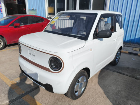 吉利银河 2024款 熊猫mini 200km 耐力熊