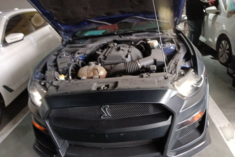 福特Mustang（平行进口） 局部细节24