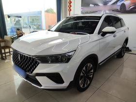 奔腾T77 2021款 PRO 280 TID 自动豪华型