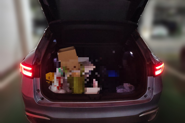 大众 ID.4 X 2022款 智享长续航版局部细节23