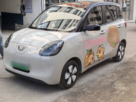 五菱汽车 宏光MINIEV 2025款 四门版 进阶款