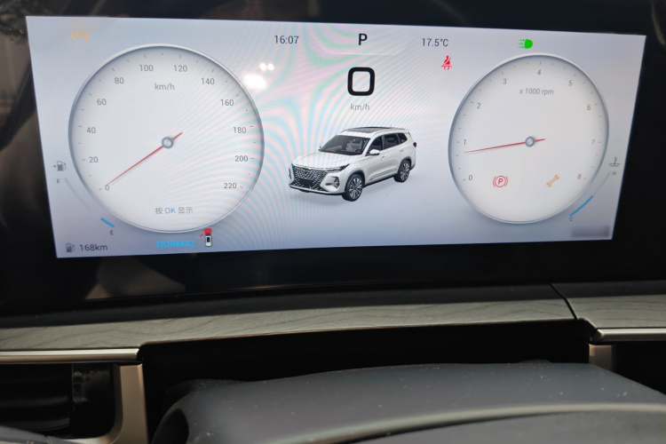 奇瑞 瑞虎8 PRO 2024款 冠军版 390T 两驱巅峰版 5座局部细节14