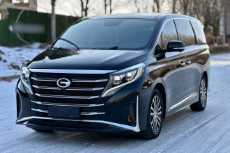 广汽传祺 传祺M8 2021款 领秀系列 390T 至尊版