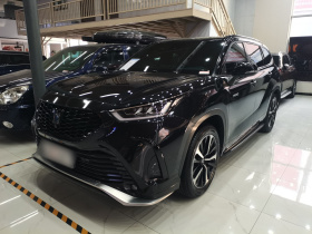 丰田 皇冠陆放 2021款 2.5L HEV四驱尊贵版
