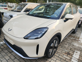 五菱汽车 缤果S 2025款 430km 尊享款