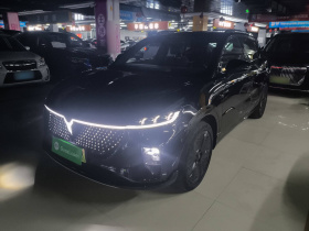 岚图汽车 岚图知音 2024款 四驱全球版