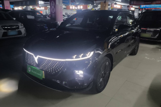 岚图汽车 岚图知音 2024款 四驱全球版