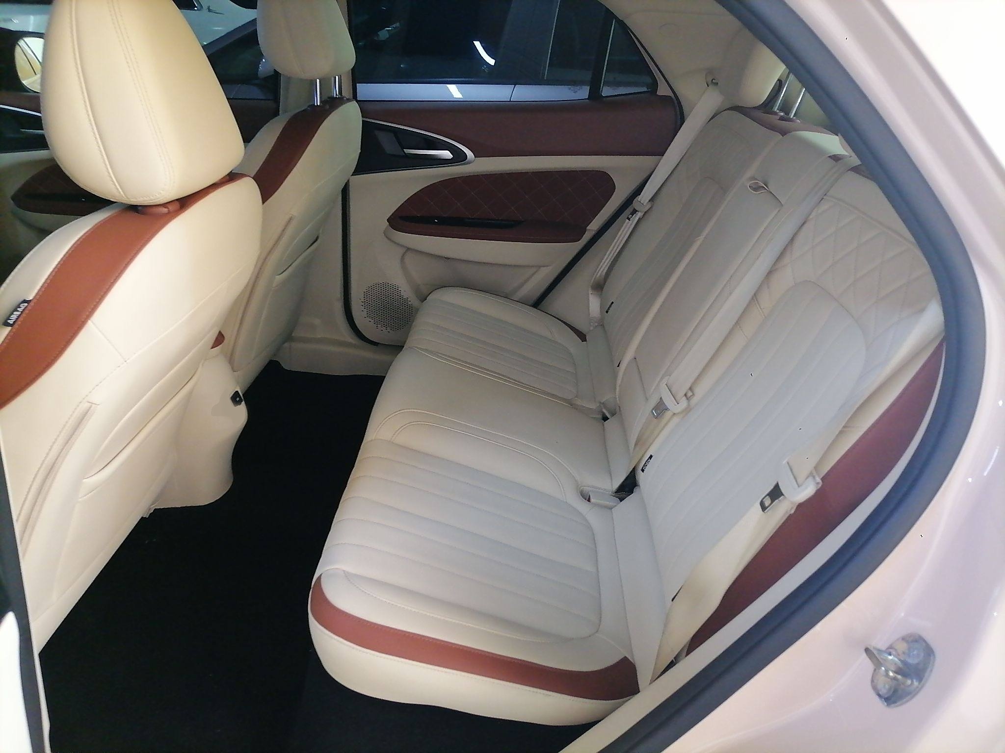 欧拉好猫 2021款 400km标准续航 雅典娜版 磷酸铁锂