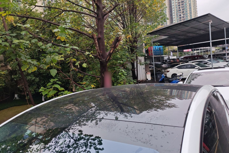 特斯拉 Model Y 2022款 改款 后轮驱动版局部细节57