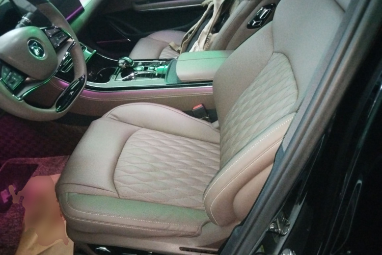 比亚迪 汉 2023款 EV 冠军版 506KM前驱尊贵型局部细节19