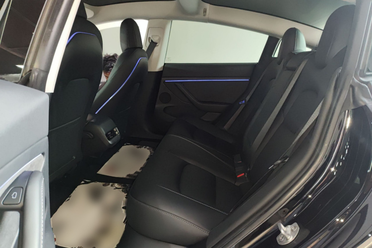 特斯拉 Model 3 2022款 后轮驱动版中控内饰7004