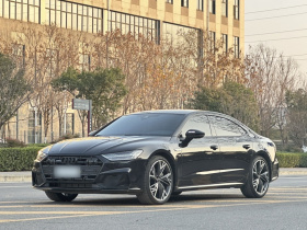 奥迪A7L 2024款 45 TFSI quattro S-line 黑武士版