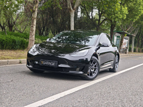 特斯拉 Model 3 2022款 后轮驱动版