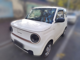 吉利银河 2023款 熊猫mini 120km 萌萌熊