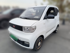 五菱汽车 宏光MINIEV 2022款 轻松款 磷酸铁锂