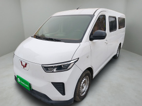 五菱汽车 五菱扬光 2024款 300KM 舒适型客车版 75kW