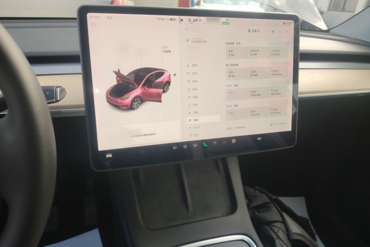 特斯拉 Model Y 2021款 长续航全轮驱动版 3D7局部细节16