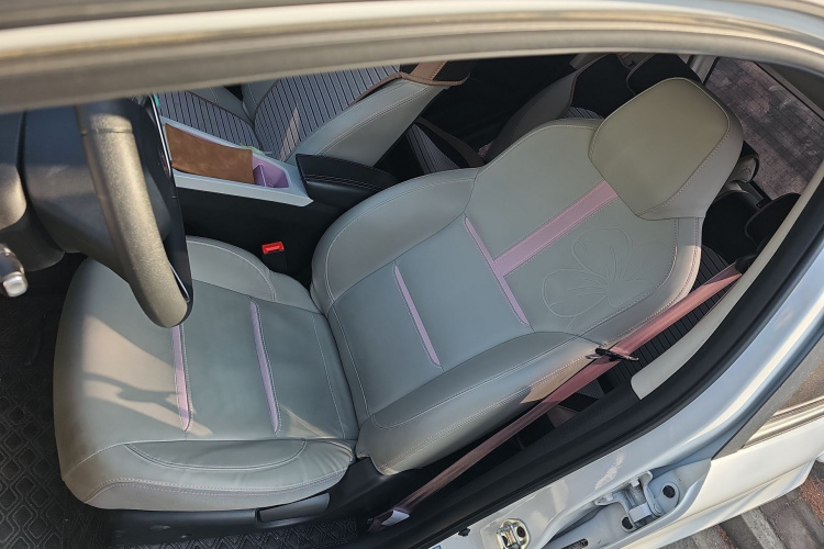 思皓 2022款 花仙子款 四叶草中控内饰19