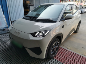 比亚迪 海鸥 2025款 智驾版 305km 自由版