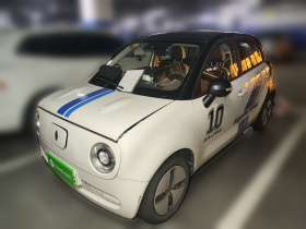 欧拉黑猫 2019款 301km 标准版