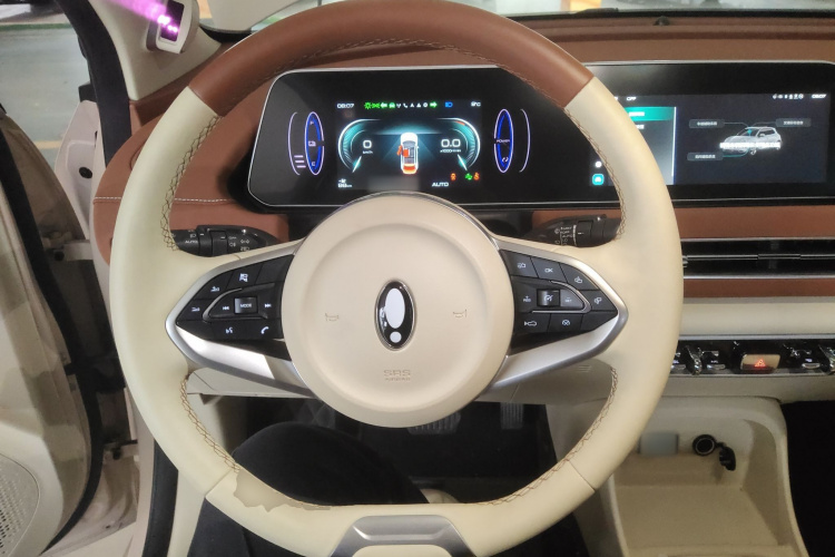 欧拉好猫 2022款 莫兰迪版 400km标准续航 尊贵型 磷酸铁锂局部细节13