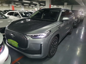 奇瑞 瑞虎9 C-DM 2025款 1.5T 106KM超享版 5座 三元锂