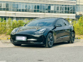 特斯拉 Model 3 2021款 标准续航后驱升级版 3D6
