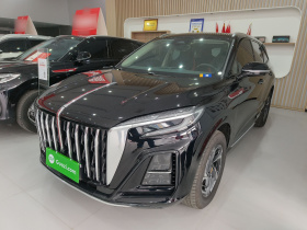 红旗HS3 2023款 1.5T 两驱善为版