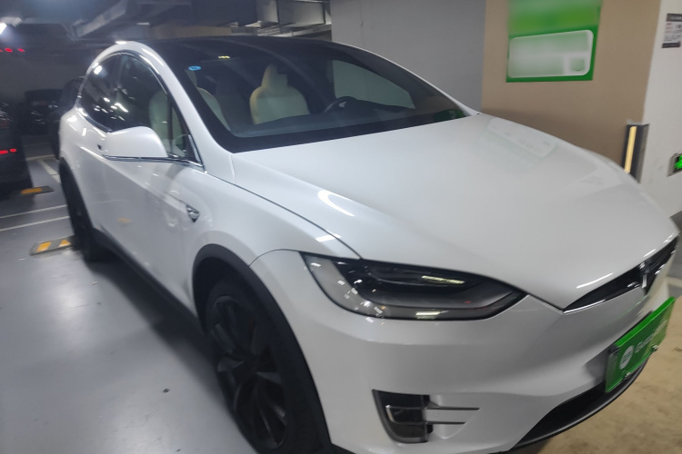 特斯拉 Model X 2019款 Performance 高性能版车身外观6002