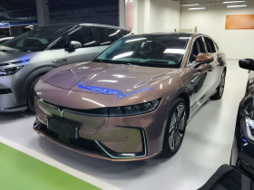 岚图汽车 岚图追光 2023款 四驱标准版