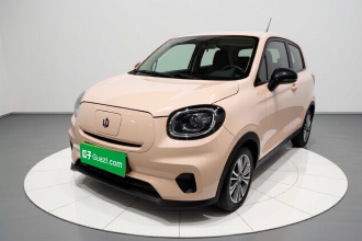 零跑汽车 零跑T03 2021款 400轻享版 磷酸铁锂