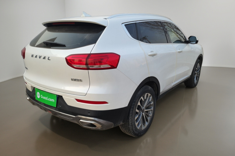 哈弗H6 2020款 1.5GDIT 自动铂金冠军版车身外观7