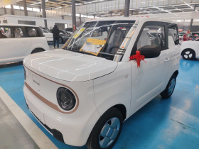 吉利银河 2024款 熊猫mini 200km 耐力熊