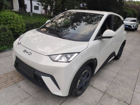 比亚迪 海鸥 2024款 荣耀版 405km 飞翔版