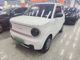 吉利银河 2023款 熊猫mini 200km 耐力熊