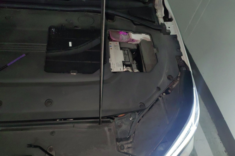 飞凡汽车 飞凡ER6 2021款 新动版 520km 智领版局部细节9007