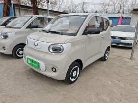 五菱汽车 宏光MINIEV 2024款 第三代 215km 青春版