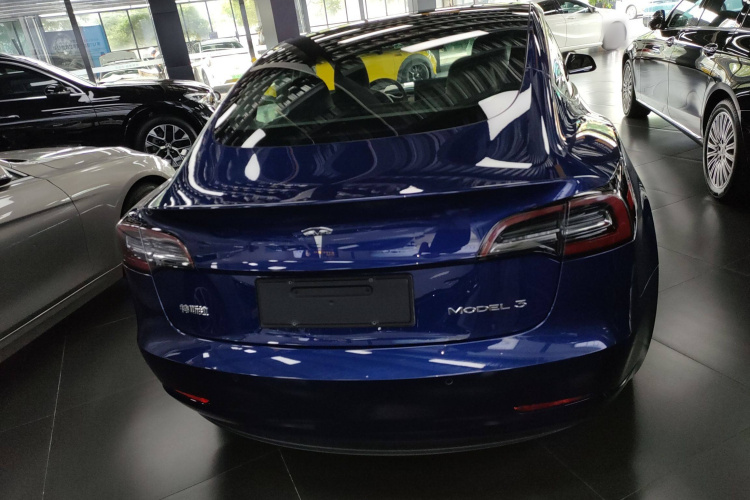 特斯拉 Model 3 2019款 标准续航后驱升级版车身外观6004