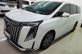 广汽传祺 传祺M8 2024款 大师系列 400T 至尊版