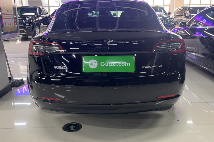 特斯拉 Model 3 2021款 改款 标准续航后驱升级版 3D1车身外观6007