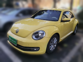 大众 甲壳虫 2013款 1.2TSI 时尚型