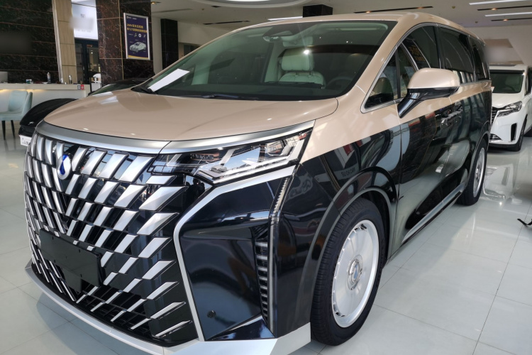 腾势D9 2024款 DM-i 980 四驱尊荣型车身外观4