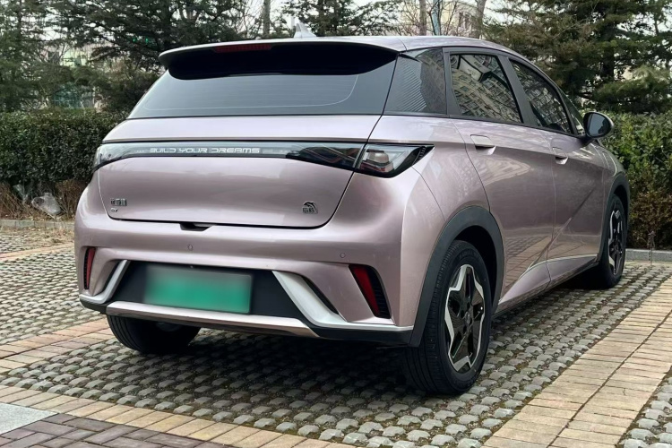 比亚迪 海豚 2021款 405km 时尚版车身外观6004