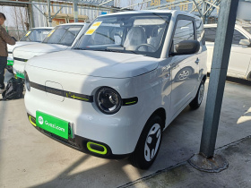 吉利银河 熊猫 2025款 210km 元气熊