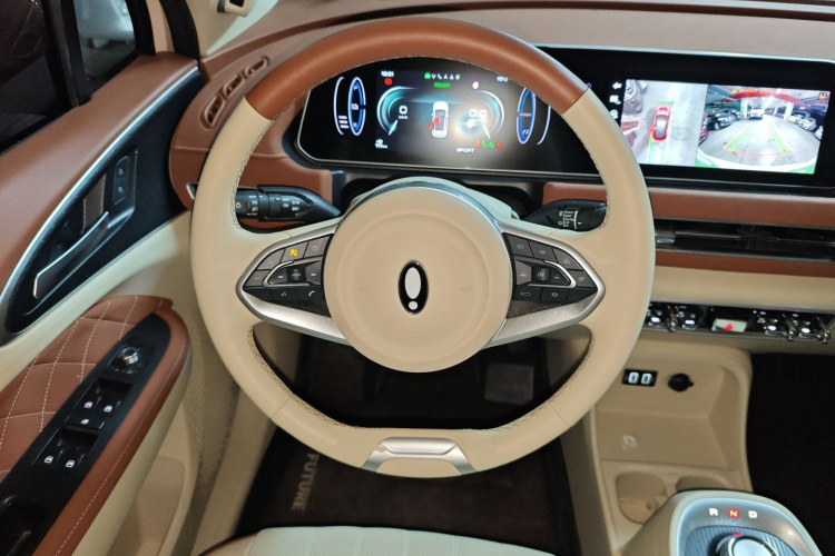 欧拉好猫 2022款 莫兰迪版 400km标准续航 尊贵型 三元锂局部细节13