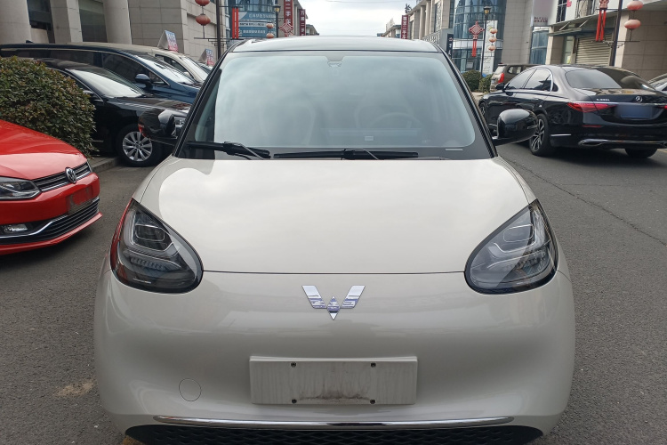 五菱汽车 五菱缤果 2025款 333km 悦享款车身外观2