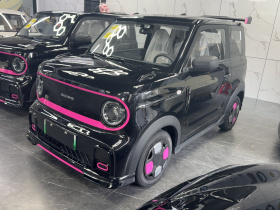 吉利银河 2025款 210km 熊猫卡丁