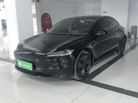 特斯拉 Model 3 2023款 后轮驱动版