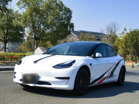 特斯拉 Model 3 2019款 标准续航后驱升级版