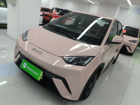 比亚迪 海鸥 2025款 305km 活力版